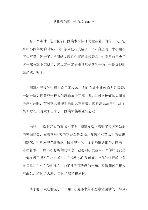 寻找我的那一角作文800字