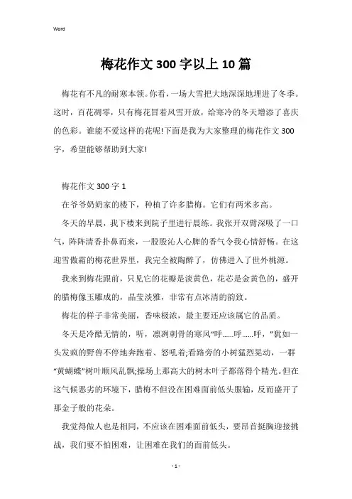 梅花作文300字以上10篇