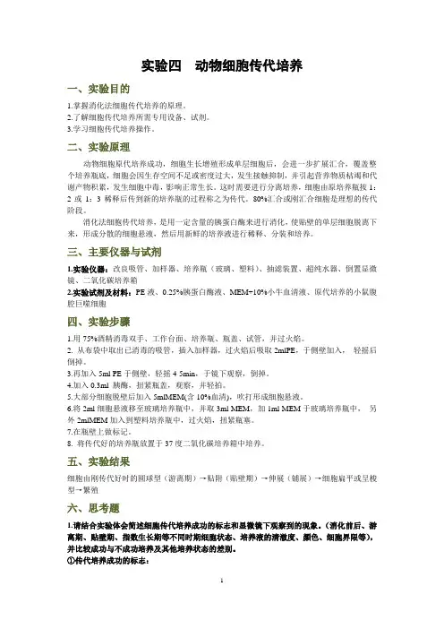 细胞工程实验-动物细胞传代培养