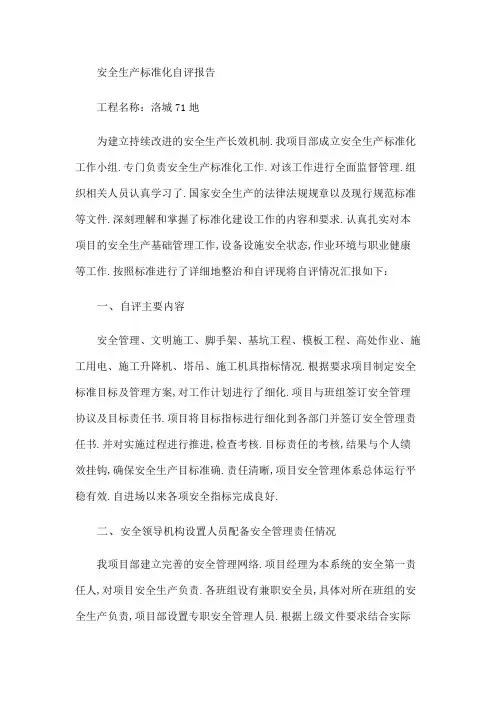 项目安全生产标准自评报告