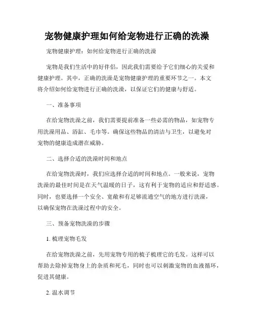 宠物健康护理如何给宠物进行正确的洗澡