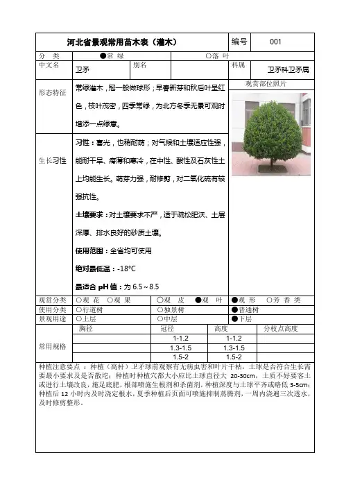 河北地区苗木信息