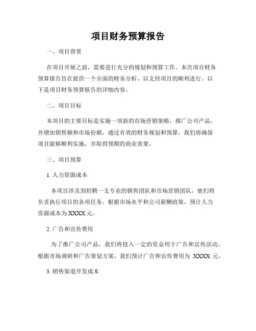 项目财务预算报告