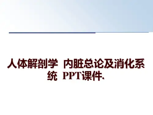 最新人体解剖学  内脏总论及消化系统  PPT课件.幻灯片课件