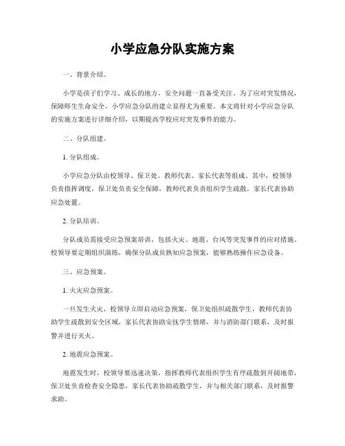 小学应急分队实施方案