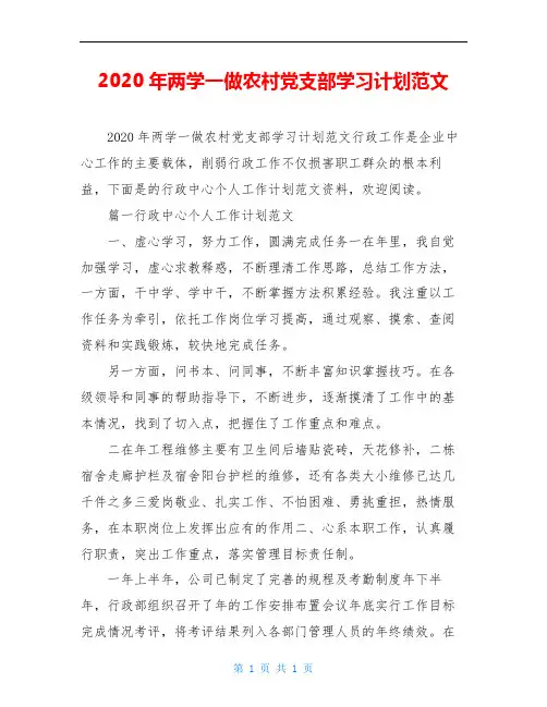 2020年两学一做农村党支部学习计划范文