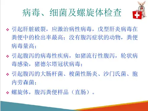 动物粪便检查—粪便寄生虫检查