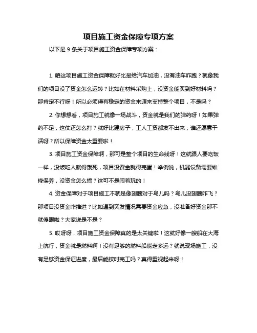 项目施工资金保障专项方案