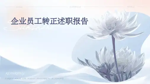 企业员工转正述职报告PPT