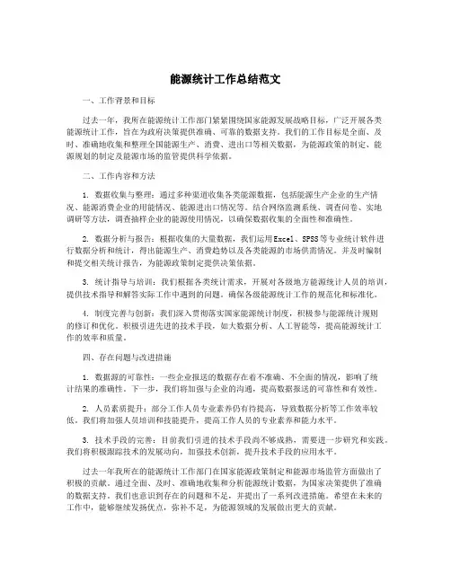 能源统计工作总结范文