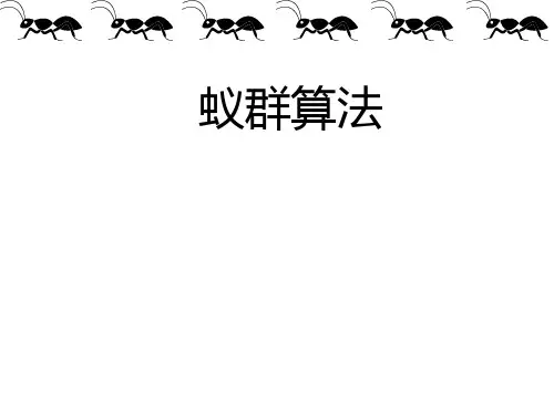 蚁群算法