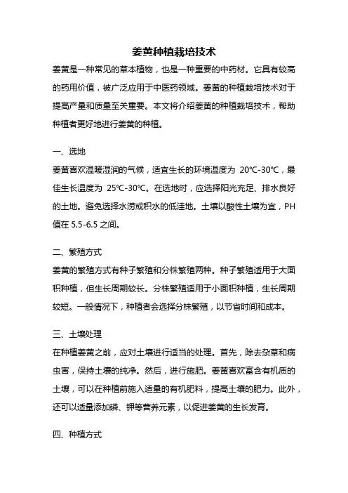姜黄种植栽培技术