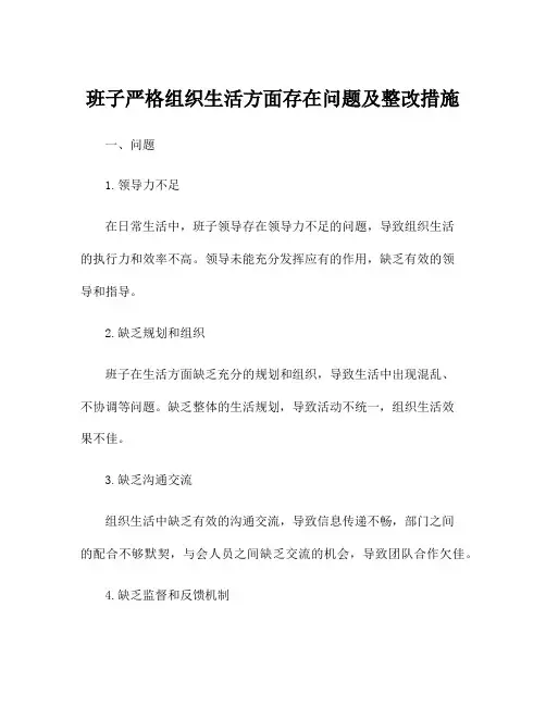 班子严格组织生活方面存在问题及整改措施