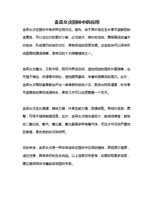 金森女贞园林中的应用