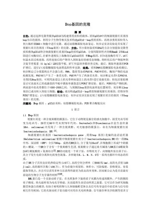 Bop基因的克隆