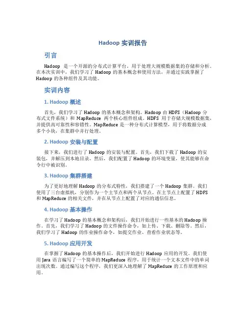 hadoop实训报告文字