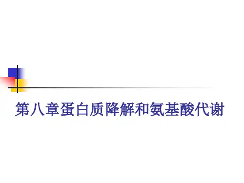 基础生物化学第8-9章精品PPT课件