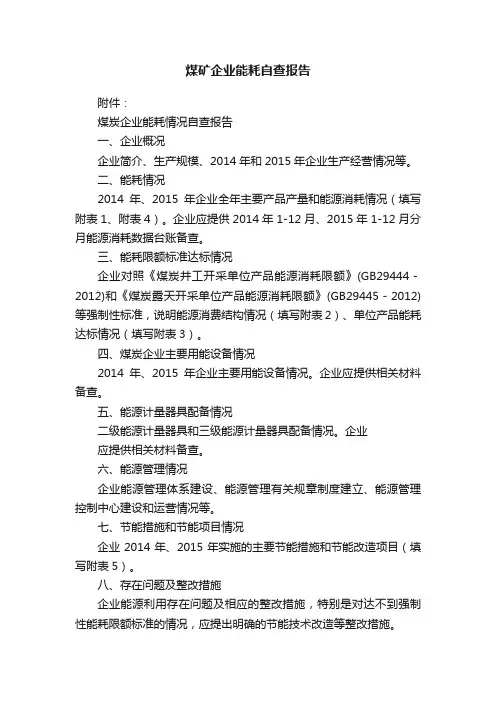 煤矿企业能耗自查报告