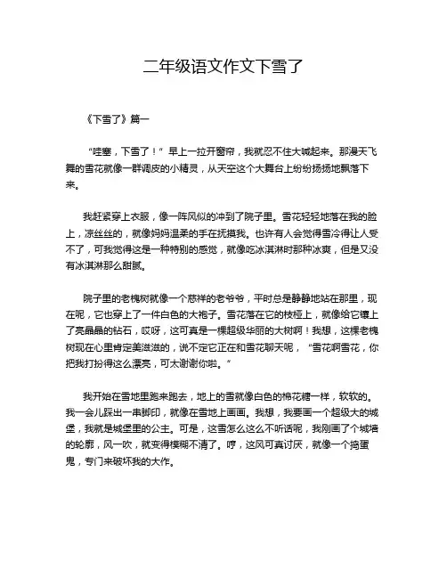 二年级语文作文下雪了