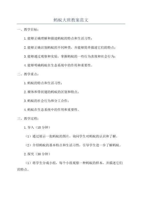 蚂蚁大班教案范文