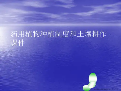 药用植物种植制度和土壤耕作PPT讲稿