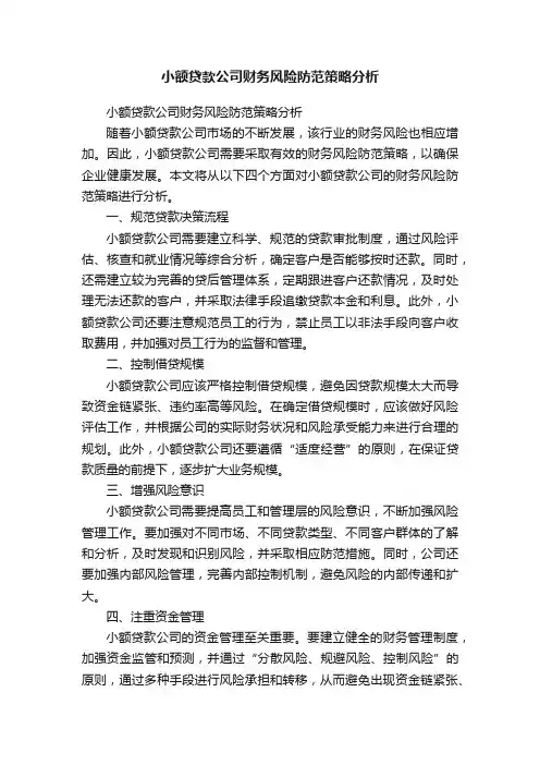 小额贷款公司财务风险防范策略分析