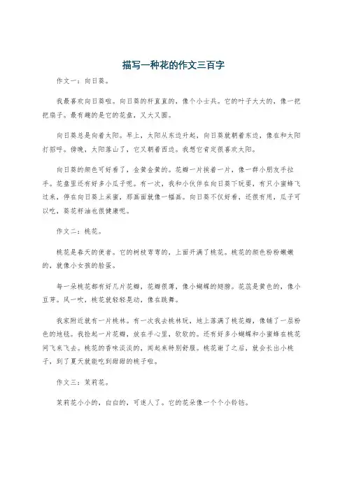 描写一种花的作文三百字