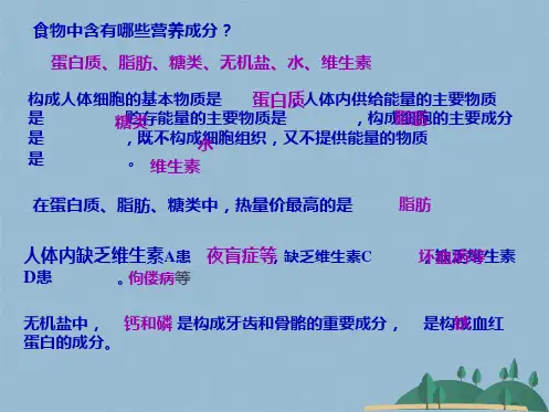 【鲁科版】生物七级上册：《消化和吸收》ppt教学课件(共26张PPT)