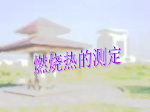 物理化学实验燃烧热的测定
