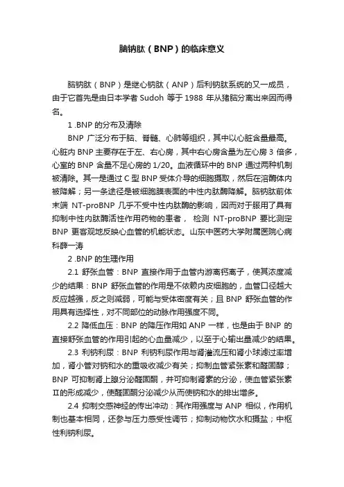 脑钠肽（BNP）的临床意义