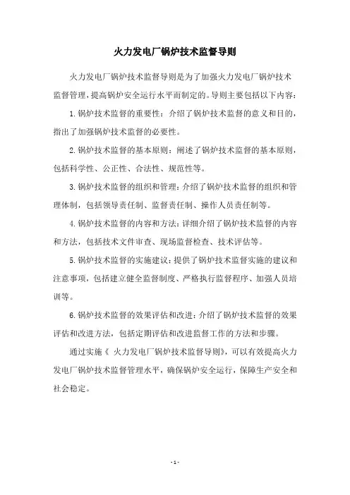 火力发电厂锅炉技术监督导则