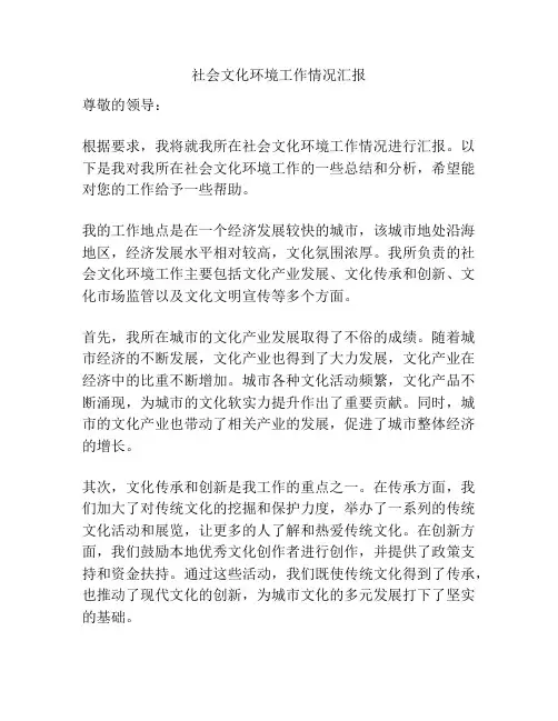 社会文化环境工作情况汇报