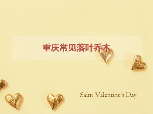重庆常见落叶乔木