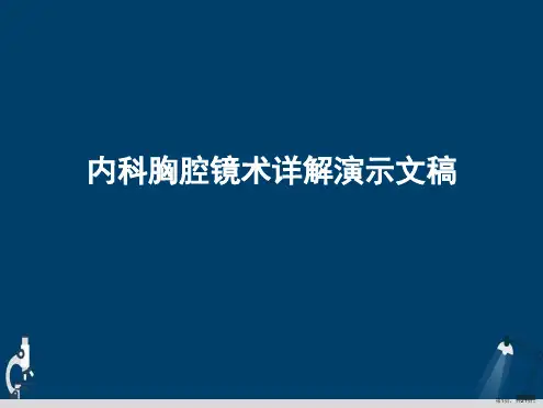 内科胸腔镜术详解演示文稿