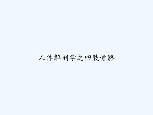 人体解剖学之四肢骨骼-PPT