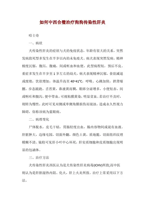 如何中西合璧治疗狗狗传染性肝炎