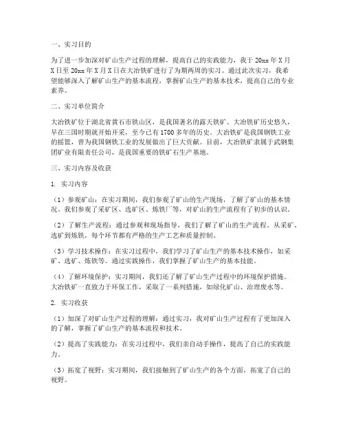 大冶实习报告