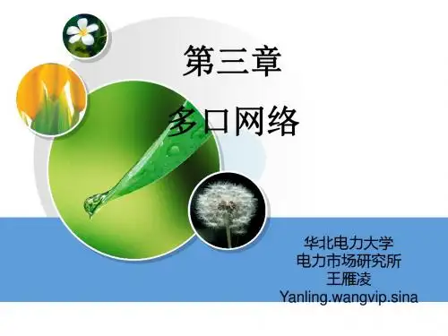 华北电力大学研究生课程电力网络分析-精选文档