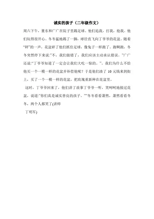 诚实的孩子(二年级作文)
