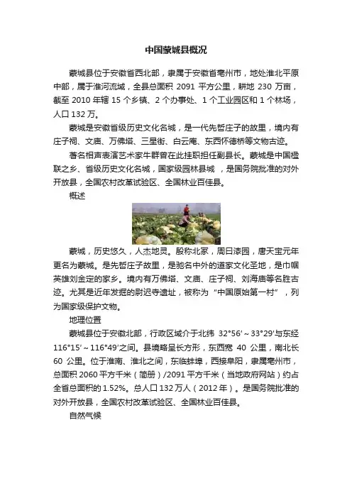 中国蒙城县概况