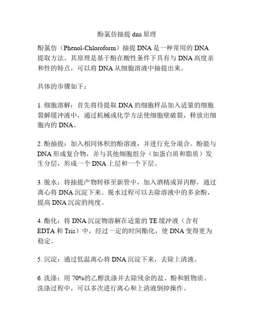 酚氯仿抽提dna原理