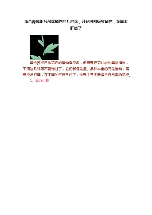 适合养成阳台吊盆植物的几种花，开花时都极其灿烂，花量太旺盛了