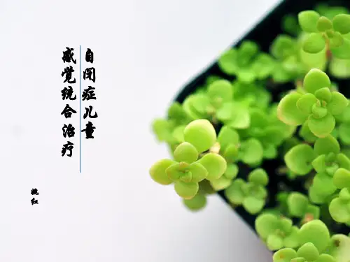 感觉统合治疗(触觉)PPT参考幻灯片