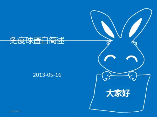 免疫球蛋白检测与临床意义Vppt课件
