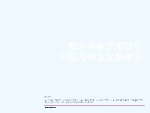 世联_内蒙古鄂尔多斯龙湾项目定位与物业发展建议_186PPT