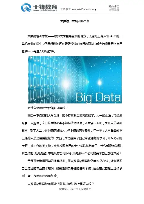 大数据开发培训哪个好
