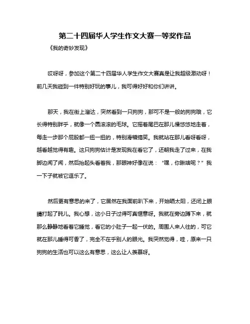 第二十四届华人学生作文大赛一等奖作品