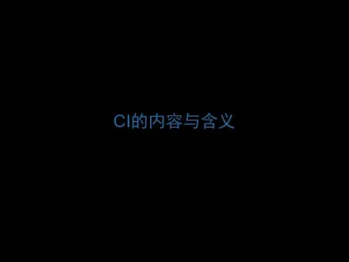 CI的内容与含义