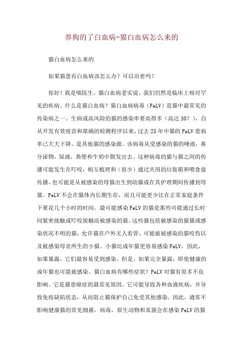 养狗的了白血病-猫白血病怎么来的
