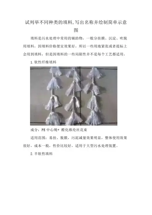 试列举不同种类的填料,写出名称并绘制简单示意图
